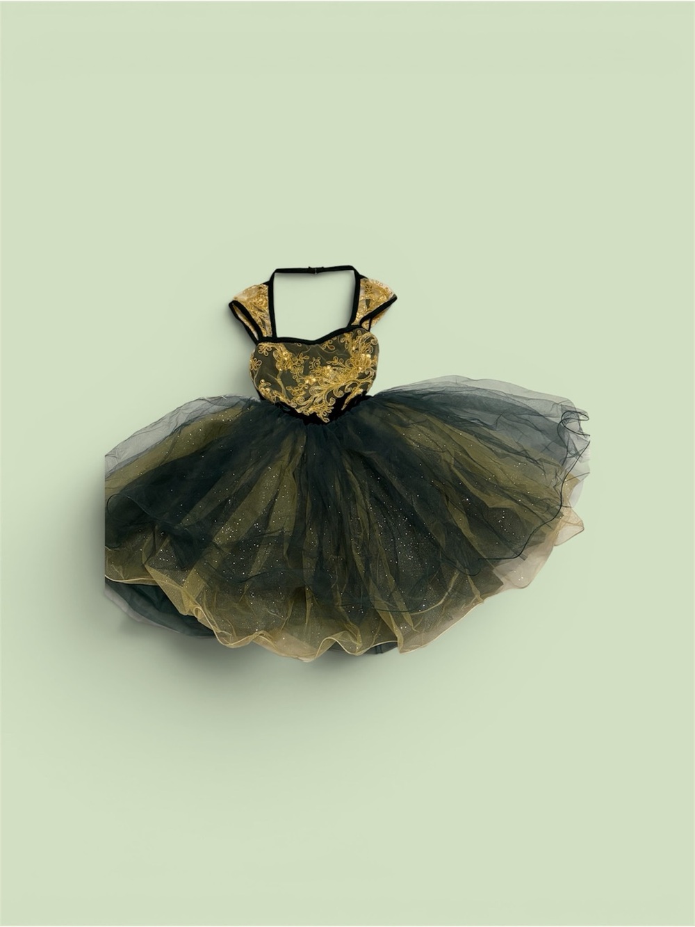 Revolution Black and Gold Tulle Dance Costume Dress for Kids